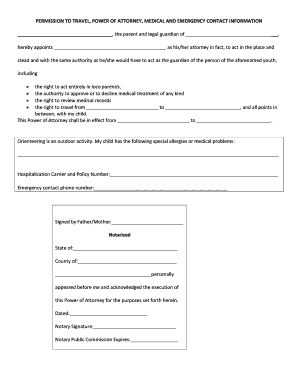 Power of Attorney for Travel and Medical Consent