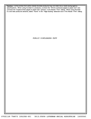 IRS Form 990 2012