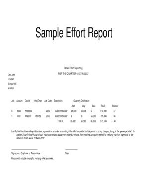 Effort Reporting Form