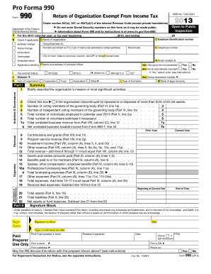 Pro Forma 990 Instructions