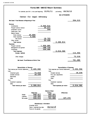 IRS Form 990 Tax Return