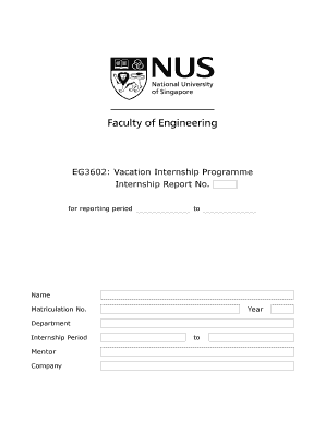 Vacation Internship Programme Report