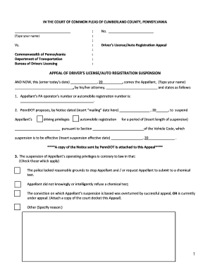 Driver’s License/Auto Registration Appeal