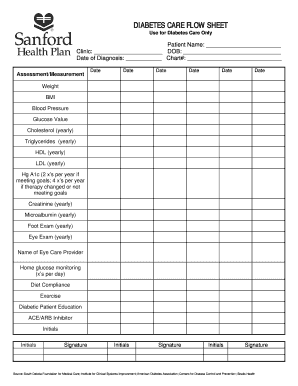 Diabetes Care Flow Sheet
