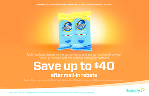 US Commercial End-User Mail-In Rebate Form