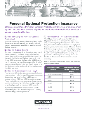 Personal Optional Protection Insurance Application