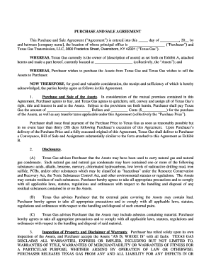 Texas Purchase and Sale Agreement