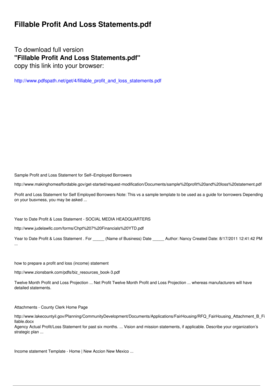 Profit and Loss Statement Template