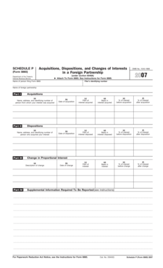 Form 8865 Schedule P
