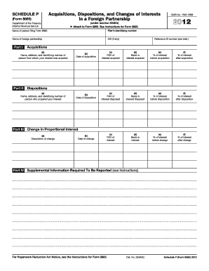 Schedule P Form 8865
