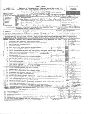 Form 990-EZ