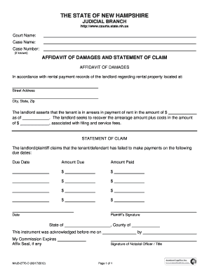 Affidavit of Damages and Statement of Claim