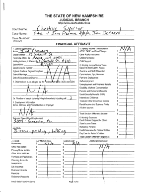 New Hampshire Financial Affidavit