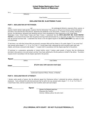 Declaration Re Electronic Filing