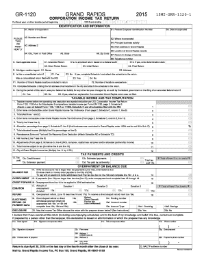Grand Rapids Corporation Income Tax Return