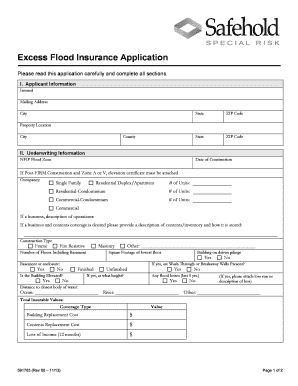 Excess Flood Insurance Application