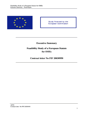 Project executive summary example - Feasibility Study of a European Statute for SMEs Executive Summary Final Report - download mpo