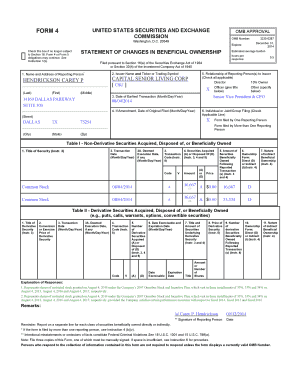 SEC Form 4 Statement of Changes in Beneficial Ownership
