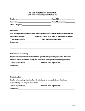 90 Day Performance Evaluation Form