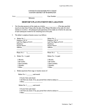 Debtor's Plan Payment Declaration