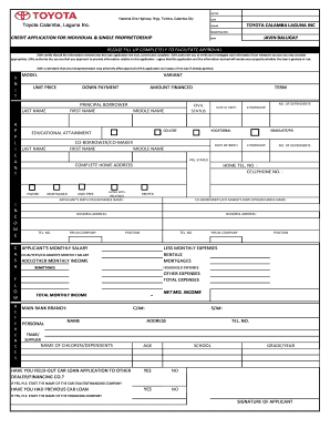 Form preview picture