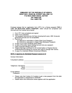 Kenya Passport Application Form PP1