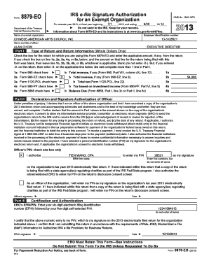 IRS Form 8879-EO Signature Authorization