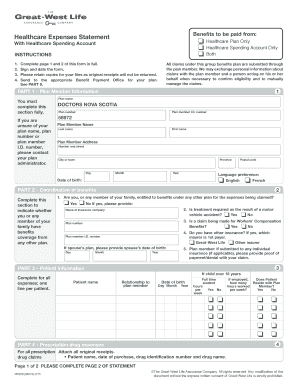 Healthcare Expenses Statement