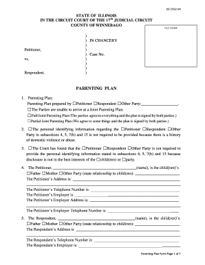 Illinois Parenting Plan Form