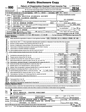 Form 990 Tax Exempt Organization Return