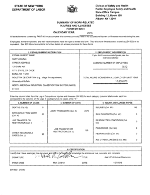 New York Work-Related Injuries and Illnesses Summary Form