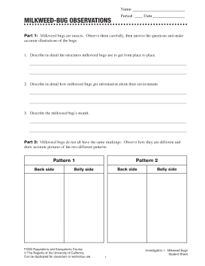 Milkweed Bug Observation Form