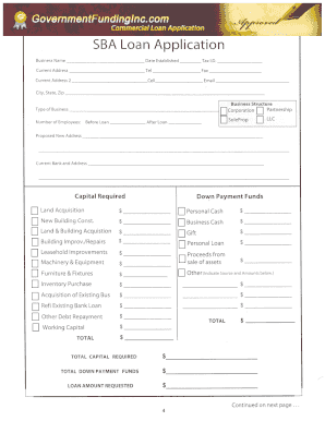 SBA Loan Application Form