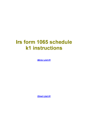 IRS Form 1065 Schedule K-1 Instructions