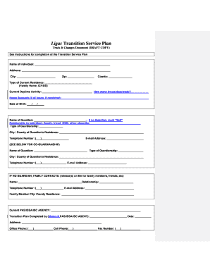 Ligas Transition Service Plan