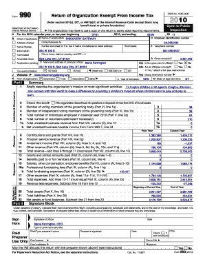Form 990 Return of Organization Exempt From Income Tax