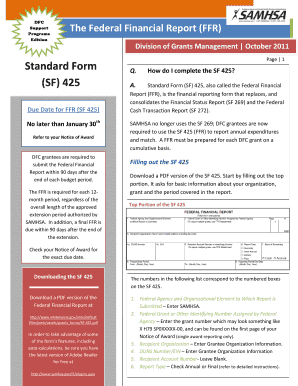 Federal Financial Report SF 425