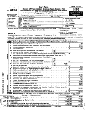 Form 990-EZ Tax Exempt Organization Return