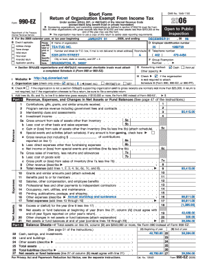 Form 990-EZ 2006