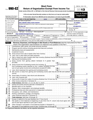 Form 990-EZ 2013