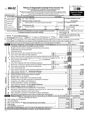 Form 990-EZ Tax Return