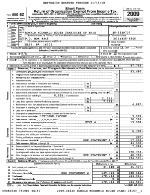 Form 990-EZ 2009