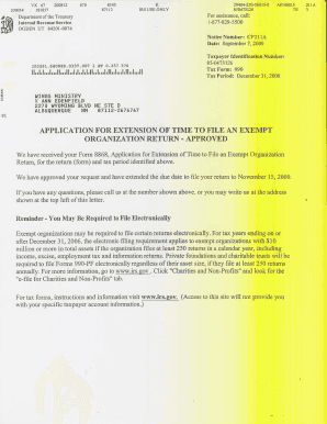 IRS Form 990-EZ 2008