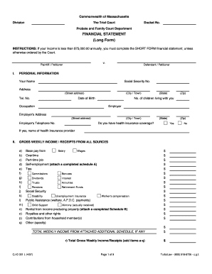 Massachusetts Long Form Financial Statement