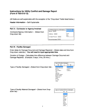 Utility Conflict and Damage Report