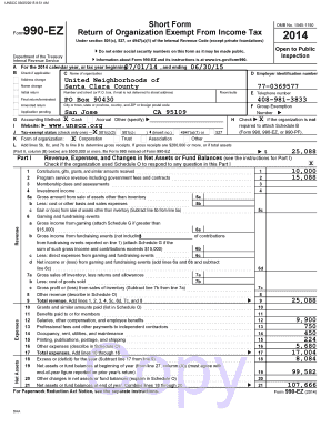 Form 990-EZ Tax Return