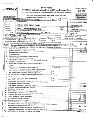 Form 990-EZ 2013