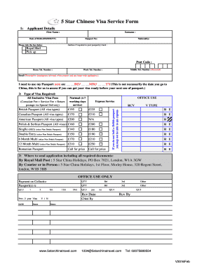 Chinese Visa Application Form