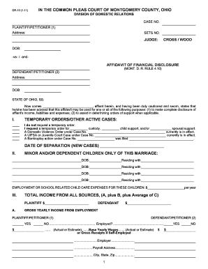 Affidavit of Financial Disclosure