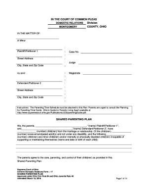 Ohio Shared Parenting Plan